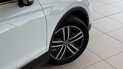 2021 (21) VOLKSWAGEN TIGUAN 1.5 TSI 150 Elegance 5dr DSG 5469324