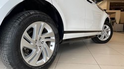 2020 (70) LAND ROVER RANGE ROVER EVOQUE 2.0 D150 R-Dynamic S 5dr Auto 5456054