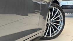 2019 (19) AUDI A5 40 TDI Quattro S Line 5dr S Tronic 5528880