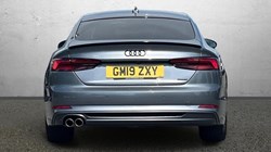 2019 (19) AUDI A5 40 TDI Quattro S Line 5dr S Tronic 5528837