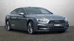 2019 (19) AUDI A5 40 TDI Quattro S Line 5dr S Tronic 5528832