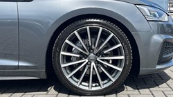 2019 (19) AUDI A5 40 TDI Quattro S Line 5dr S Tronic 5528839