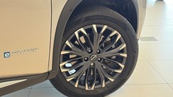2025 (25) NISSAN X-TRAIL 1.5 E-Power 204 Tekna 5dr Xtronic 5517039