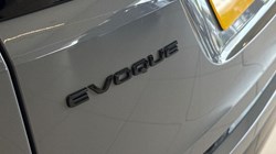 2021 (21) LAND ROVER RANGE ROVER EVOQUE 2.0 P250 R-Dynamic HSE 5dr Auto 5534497