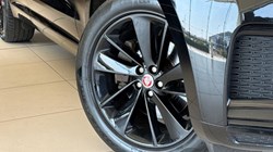 2023 (23) JAGUAR F-PACE 2.0 D200 R-Dynamic SE 5dr Auto AWD 5551962
