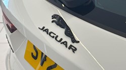 2024 (24) JAGUAR F-PACE 2.0 D200 R-Dynamic SE 5dr Auto AWD 5575875