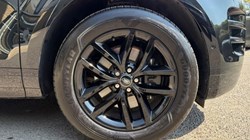 2025 (25) LAND ROVER RANGE ROVER EVOQUE 1.5 P270e Edition 5dr Auto 5599065