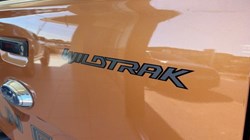 2019 (69) FORD COMMERCIAL RANGER Pick Up Double Cab Wildtrak 3.2 EcoBlue 200 Auto 5719433