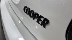  MINI CONVERTIBLE 1.5 Cooper Sport Premium 2dr Auto 2989851