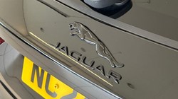 2024 (24) JAGUAR F-PACE 2.0 D200 R-Dynamic SE Black 5dr Auto AWD 5841569