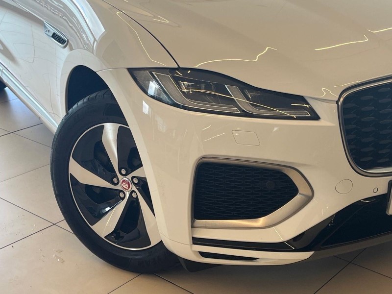 2023 (73) 2023  5863137