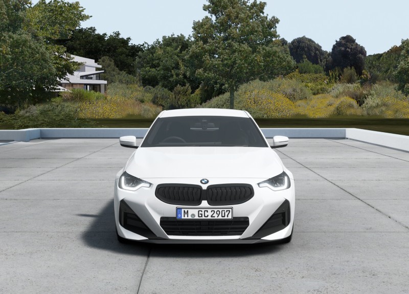  BMW 2 SERIES 220i M Sport 2dr Step Auto [Pro Pack] 4816383