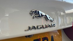 2019 (19) JAGUAR XE 2.0 Ingenium R-Sport 4dr Auto 5893793