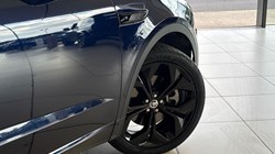 2023 (23) JAGUAR E-PACE 2.0 D200 R-Dynamic SE Black 5dr Auto 5892131