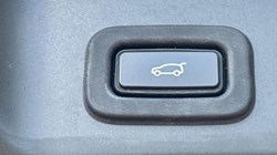2020 (70) LAND ROVER RANGE ROVER EVOQUE 2.0 P200 R-Dynamic SE 5dr Auto 5717391