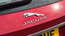 2020 (20) JAGUAR XF 2.0i Portfolio 5dr Auto 5789036