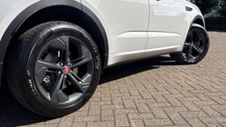 2023 (23) JAGUAR E-PACE 1.5 P300e R-Dynamic SE 5dr Auto 5742115