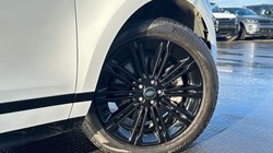 2024 (74) LAND ROVER RANGE ROVER EVOQUE 2.0 D200 Dynamic SE 5dr Auto 4960856