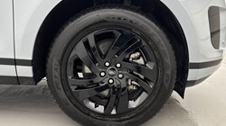 2025 (74) LAND ROVER RANGE ROVER EVOQUE 1.5 P270e S 5dr Auto 4996191