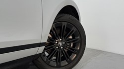 2025 (74) LAND ROVER RANGE ROVER EVOQUE 1.5 P270e Dynamic SE 5dr Auto 4961426