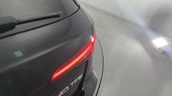2019 (19) AUDI A4 40 TFSI Black Edition 5dr S Tronic 5552216