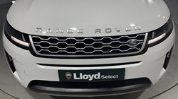 2020 (70) LAND ROVER RANGE ROVER EVOQUE 2.0 D180 S 5dr Auto 5556415