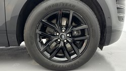 2025 (25) LAND ROVER RANGE ROVER EVOQUE 2.0 D200 Edition 5dr Auto 4960611