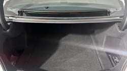 2019 (19) BMW 3 SERIES 320d M Sport 4dr 5571698