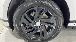 2019 (69) LAND ROVER RANGE ROVER EVOQUE 2.0 D180 R-Dynamic S 5dr Auto 5763059