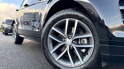 2024 (74) LAND ROVER RANGE ROVER EVOQUE 2.0 D200 Dynamic SE 5dr Auto 4966840