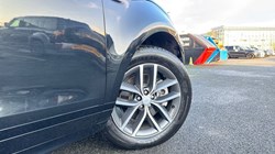 2024 (74) LAND ROVER RANGE ROVER EVOQUE 2.0 D200 Dynamic SE 5dr Auto 4966845