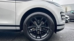 2025 (25) LAND ROVER RANGE ROVER EVOQUE 2.0 D200 Edition 5dr Auto 4962921