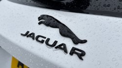 2024 (74) JAGUAR F-PACE 2.0 D200 R-Dynamic HSE Black 90th Anniv 5dr Auto 4747829