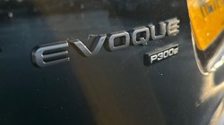 2021 (71) LAND ROVER RANGE ROVER EVOQUE 1.5 P300e R-Dynamic S 5dr Auto 4690608