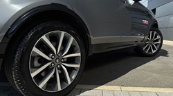 2025 (75) LAND ROVER DISCOVERY 3.0 D350 Dynamic SE 5dr Auto 5261998