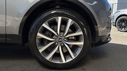 2025 (75) LAND ROVER DISCOVERY 3.0 D350 Dynamic SE 5dr Auto 5261958