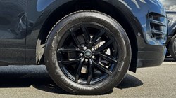 2025 (75) LAND ROVER RANGE ROVER EVOQUE 2.0 D200 Dynamic SE 5dr Auto 5301462