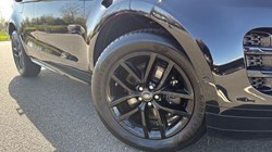 2025 (75) LAND ROVER RANGE ROVER EVOQUE 2.0 D200 Dynamic SE 5dr Auto 5290606