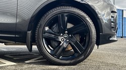 2025 (75) LAND ROVER DISCOVERY 3.0 D350 Dynamic HSE 5dr Auto 5298261