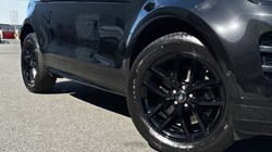 2025 (75) LAND ROVER RANGE ROVER EVOQUE 2.0 D200 Dynamic SE 5dr Auto 5311720