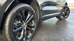 2024 (24) JAGUAR F-PACE 2.0 P400e R-Dynamic HSE Black 5dr Auto AWD 4932476