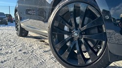 2024 (24) LAND ROVER RANGE ROVER SPORT 3.0 D300 SE 5dr Auto 4916158