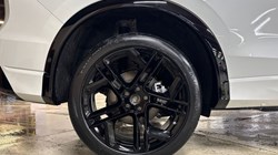 VOLKSWAGEN TIGUAN 2.0 TSI 265 4Motion Black Edition 5dr DSG 4890375