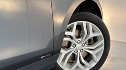 2020 (20) LAND ROVER RANGE ROVER EVOQUE 2.0 D180 R-Dynamic SE 5dr Auto 4953359