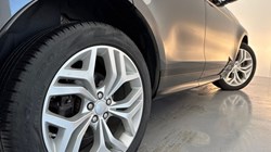 2020 (20) LAND ROVER RANGE ROVER EVOQUE 2.0 D180 R-Dynamic SE 5dr Auto 4953358