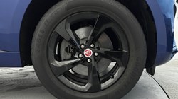 2022 (22) JAGUAR F-PACE 2.0 D200 R-Dynamic SE 5dr Auto AWD 4965553