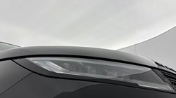 2025 (25) LAND ROVER RANGE ROVER SPORT 3.0 D250 Edition 5dr Auto 5049628
