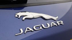 2021 (21) JAGUAR F-PACE 2.0 P250 R-Dynamic HSE 5dr Auto AWD 5197066
