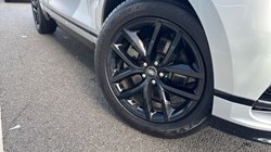 2025 (25) LAND ROVER RANGE ROVER VELAR 2.0 D200 MHEV Dynamic SE 5dr Auto 5154619