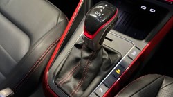 VOLKSWAGEN POLO 2.0 TSI GTI 5dr DSG 4890091